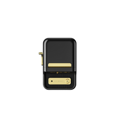 Niimbot B21