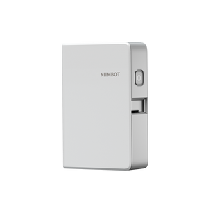 Niimbot B18